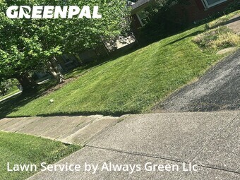 Lawn Cutting nearby Lexington, KY, 