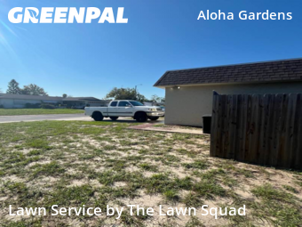 Yard Cutting nearby Holiday, FL, 