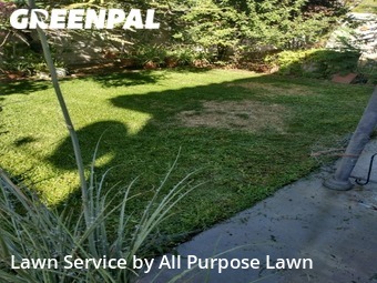 Grass Cut nearby Las Vegas, NV, 