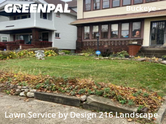 Grass Cutting nearby Shaker Heights, OH, 