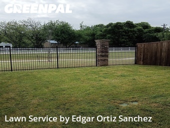 Lawn Cut nearby Wylie, TX, 