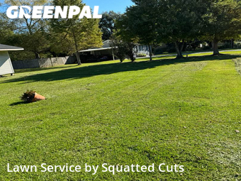 Yard Cutting nearby Maurice, LA, 
