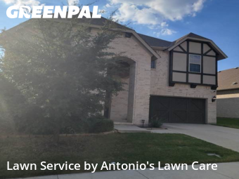 Lawn Servicein Irving,75038,Lawn Maintenance by Antonio's Lawn Care, work completed in Nov , 2025