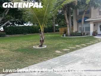 Grass Cut nearby Lake Worth, FL, 