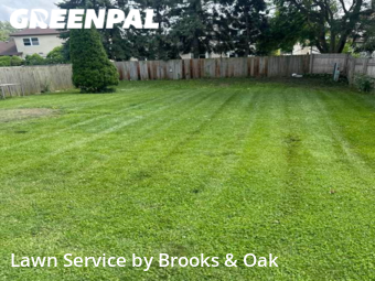 Lawn Care nearby Carol Stream, IL, 