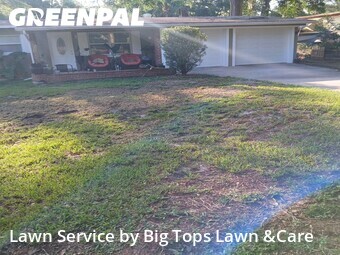 Lawn Mow nearby Altamonte Springs, FL, 