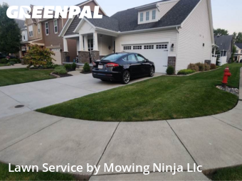 Backyard Mowing in Brunswick, 44212, Yard Upkeep by Mowing Ninja Llc, work completed in Oct , 2025