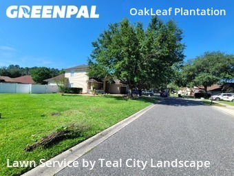 Lawn Cut nearby Orange Park, FL, 