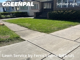 Lawn Cut nearby Buffalo, NY, 