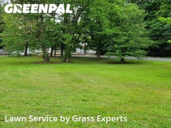 Lawn Service nearby Charlotte, NC, 