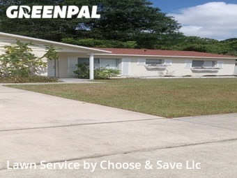 Grass Cut nearby Orlando, FL, 