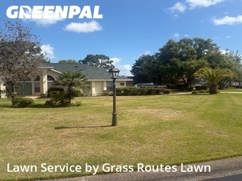 Yard Cutting nearby Ocala, FL, 