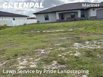 Grass Cutting nearby Cape Coral, FL, 
