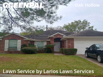 Lawn Cutin Sugar Land,77478,Yard Cutting by Larios Lawn Services, work completed in Dec , 2025