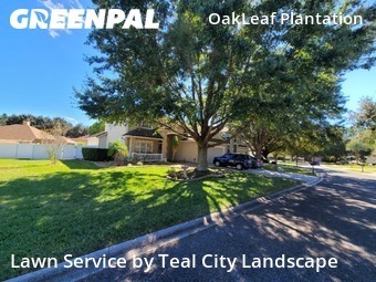 Lawn Mowin Orange Park,32065,Lawn Mow by Teal City Landscape , work completed in Feb , 2026
