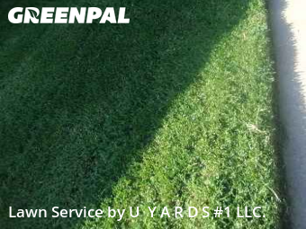 Lawn Mowing Service nearby Riverbank, CA, 