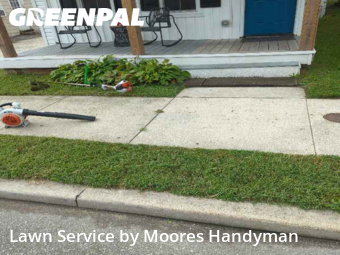 Lawn Mowing in Milford, 19963, Backyard Mowing by Moores Handyman, work completed in Nov , 2025