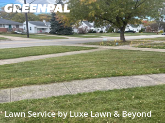 Grass Cutting in Mayfield Heights, 44124, Yard Services by Luxe Lawn & Beyond, work completed in Nov , 2025