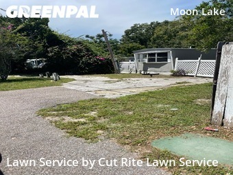 Yard Cutting nearby New Port Richey, FL, 