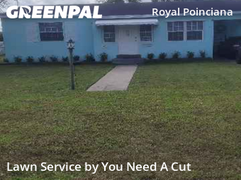 Modern Landscaping In Hollywood,33020,Landscaping Services by You Need A Cut , work completed in Oct , 2025