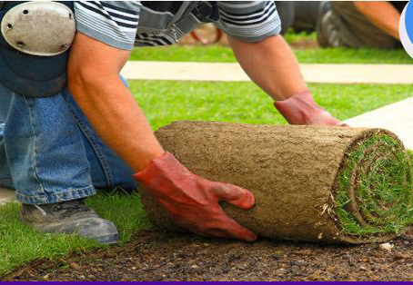 How to Install Sod, in just 5 Easy to Follow Steps