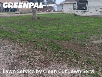 Work completed by lawn-care-experts-in-Visalia-CA