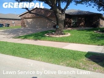 Lawn Cut nearby Fort Worth, TX, 
