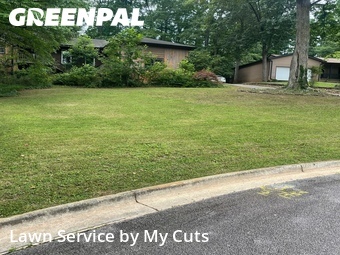 Grass Cut nearby Stone Mountain, GA, 