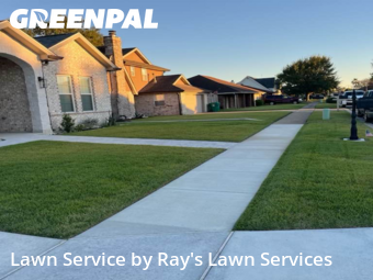 Lawn Cut nearby Harvey, LA, 