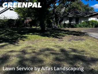 Weed Trimming in Farmers Branch, 75234, Yard Care by Alfas Landscaping, work completed in Dec , 2025