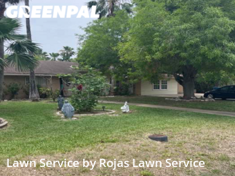 Grass Cut nearby Brownsville, TX, 