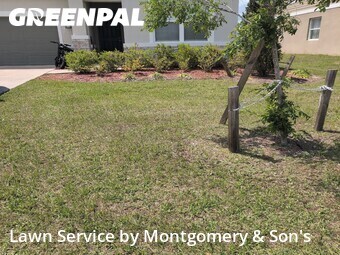 Lawn Cut nearby Lakeland, FL, 