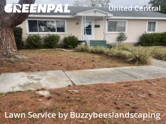 Lawn Servicein St Petersburg,33713,Lawn Service by Buzzybeeslandscaping, work completed in Jun , 2026
