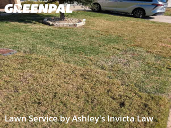 Lawn Upkeep in Temple, 76502, Front Yard Mowing by Ashley's Invicta Law, work completed in Dec , 2025
