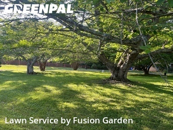 Lawn Mow nearby Germantown, MD, 