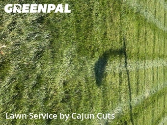 Lawn Care nearby Walterhill, TN, 