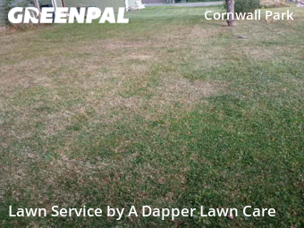 Lawn Care nearby Bellingham, WA, 
