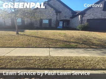 Grass Cutting nearby Shelby County, TN, 