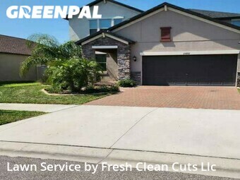 Grass Cut nearby Lutz, FL, 