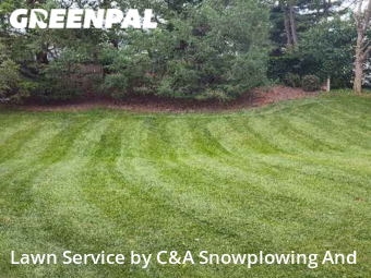 Lawn Cut nearby Mundelein, IL, 