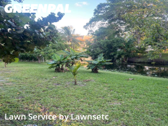 Grass Cutin Davie,33328,Lawn Mowing Service by Lawnsetc, work completed in Nov , 2025