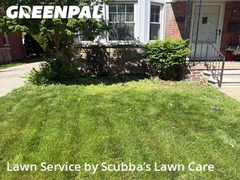 Lawn Mow nearby Allen Park, MI, 