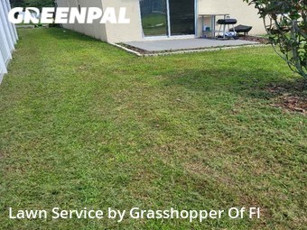 Grass Cut nearby Plant City, FL, 